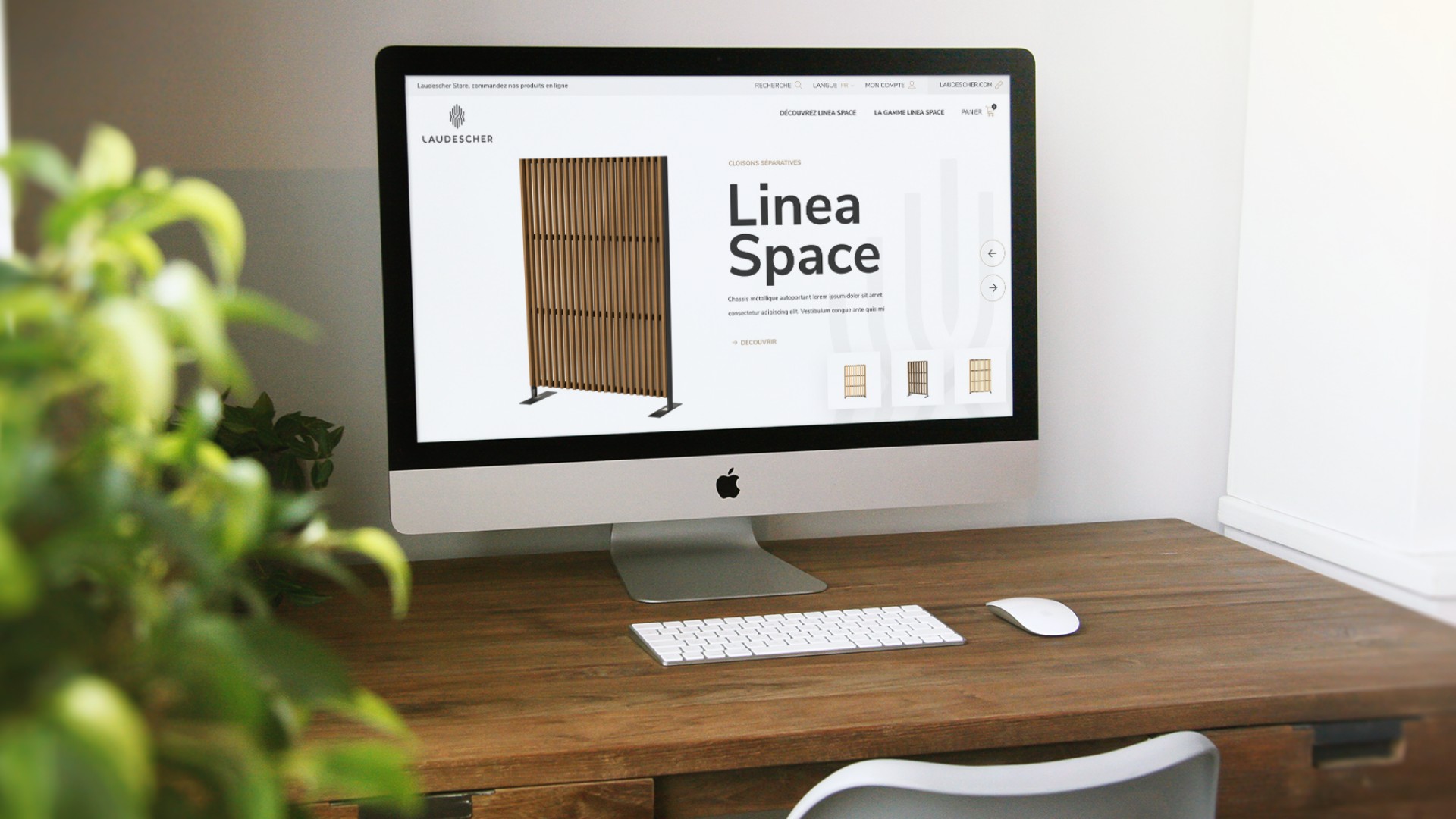 Image mise en avant Laudescher Store